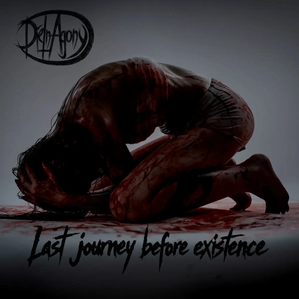 Cover for Last Journey Before Existence